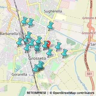 Mappa Piazza Giovanni Fabbrini, 58100 Grosseto GR, Italia (0.8955)