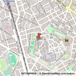 Mappa Via Giuseppe Mazzini, 24, 58100 Grosseto, Grosseto (Toscana)