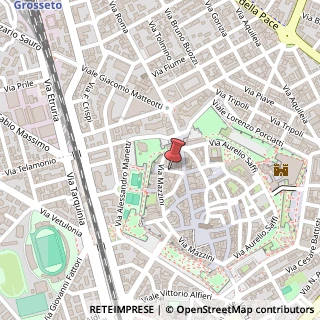 Mappa Via A. Bertani, 14, 58100 Grosseto, Grosseto (Toscana)