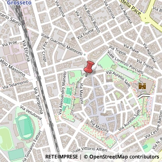 Mappa Via Giuseppe Mazzini, 8, 58100 Grosseto GR, Italia, 58100 Grosseto, Grosseto (Toscana)