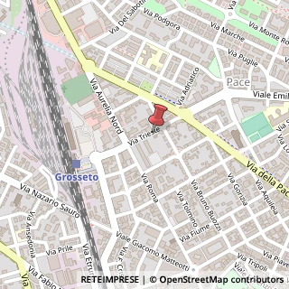 Mappa Via Trieste, 54, 58100 Grosseto, Grosseto (Toscana)