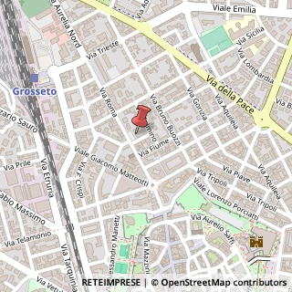 Mappa Via Roma, 19, 58100 Grosseto, Grosseto (Toscana)