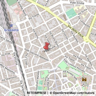 Mappa Via Roma, 12, 58100 Grosseto, Grosseto (Toscana)