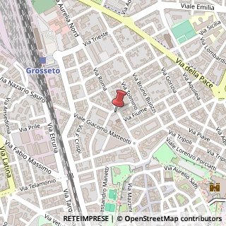 Mappa Via Roma, 20, 58100 Grosseto, Grosseto (Toscana)