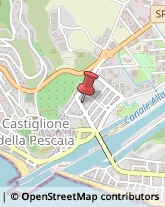 Via Fratelli Cervi, 34,58043Castiglione della Pescaia