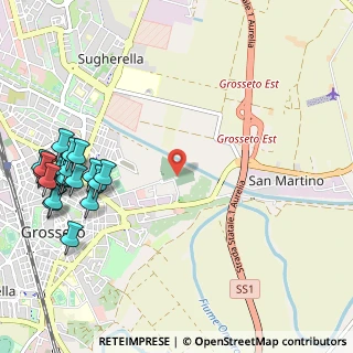Mappa Piazza dei Martiri delle Foibe Istriane, 58100 Grosseto GR, Italia (1.491)