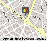 Agenti e Rappresentanti di Commercio,58100Grosseto