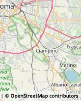 Trasporti Refrigerati Ciampino,00043Roma