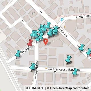 Mappa Via Trento, 00043 Ciampino RM, Italia (0.04074)