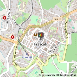 Fisiokinesiterapia - Medici Specialisti Frascati,00044Roma