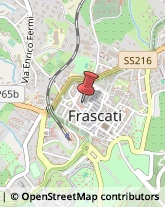 Via Giovanni Fontana, 23,00044Frascati