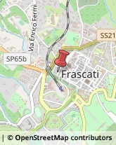 Via Felice Ferri, 4,00044Frascati