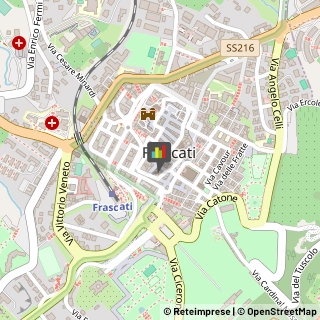 Bed e Breakfast Frascati,00044Roma