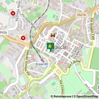 Via Vincenzo Del Grande, 1,00044Frascati