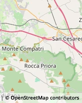 Impianti Sportivi e Ricreativi - Costruzione e Attrezzature Palestrina,00036Roma