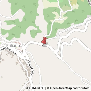Mappa Via Porta Sabaudia, 117, 03018 Paliano FR, Italia, 03018 Paliano, Frosinone (Lazio)