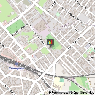 Fisiokinesiterapia - Medici Specialisti,00043Roma