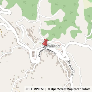 Mappa Viale Umberto I, 1/3, 03018 Paliano, Frosinone (Lazio)