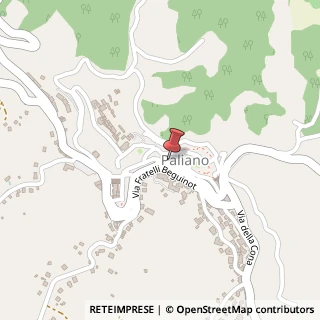 Mappa Via Cavour, 116, 03018 Paliano, Frosinone (Lazio)