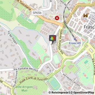 Osteopatia Frascati,00044Roma