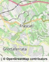 Enoteche Frascati,00044Roma