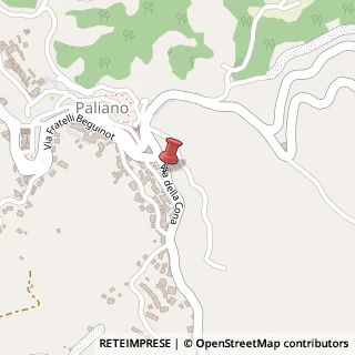 Mappa Via della Cona, 19, 03018 Paliano, Frosinone (Lazio)
