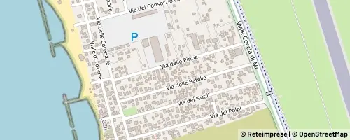 Mappa Fiumicino