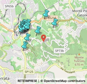 Mappa Via del Tuscolo, 00044 Frascati RM, Italia (1.043)
