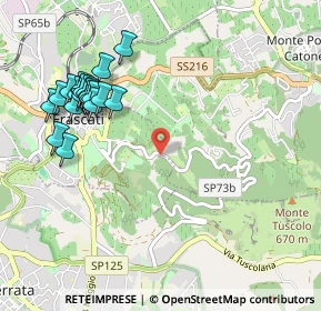 Mappa Via del Tuscolo, 00044 Frascati RM, Italia (1.198)