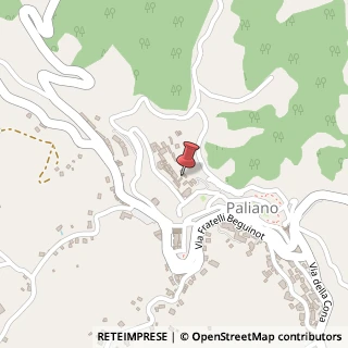 Mappa Viale Umberto I, 7, 03018 Paliano, Frosinone (Lazio)