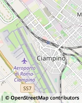 Via delle Strelitzie, 35,00134Roma