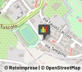 Palestre e Centri Fitness Frascati,00044Roma