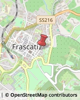 Via Delle Fratte, 42,00044Frascati