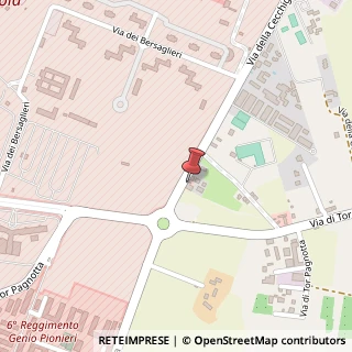 Mappa Via della Cecchignola, 249, 00143 Roma, Roma (Lazio)