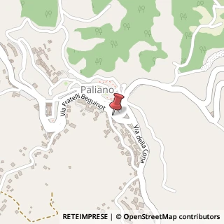 Mappa Via Fratelli Beguinot, 33, 03018 Paliano FR, Italia, 03018 Paliano, Frosinone (Lazio)