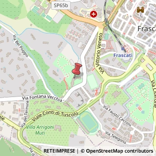Mappa Via di Fontana Vecchia, 2, 00044 Frascati, Roma (Lazio)