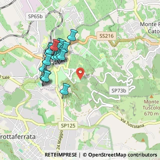 Mappa Via del Tuscolo km 1.500, 00044 Frascati RM, Italia (0.971)