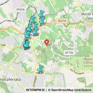 Mappa Via del Tuscolo km 1.500, 00044 Frascati RM, Italia (1.11214)