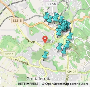 Mappa Via del Termine, 00046 Grottaferrata RM, Italia (0.9295)