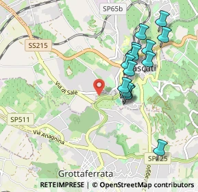 Mappa Via del Termine, 00046 Grottaferrata RM, Italia (1.00571)