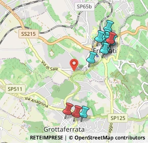 Mappa Via del Termine, 00046 Grottaferrata RM, Italia (1.07571)