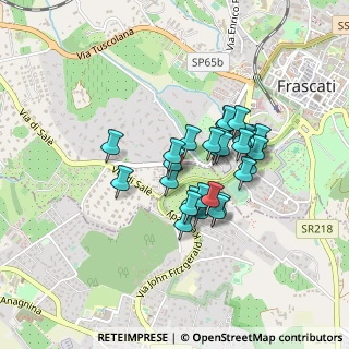 Mappa Via del Termine, 00046 Grottaferrata RM, Italia (0.34828)