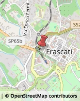 Via Amedeo Principe, 15,00044Frascati