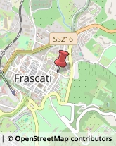 Via Villa Borghese, 35,00044Frascati