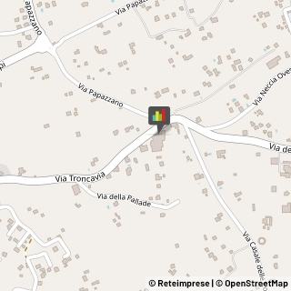 Frutta e Verdura - Dettaglio,00049Roma