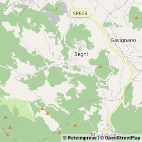 Mappa Segni