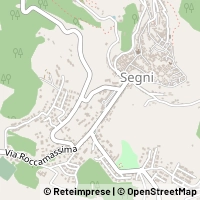 Kort Segni