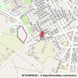 Mappa Vico Castelnuovo, 3, 71016 San Severo, Foggia (Puglia)