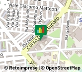 Consulenza Commerciale,71016Foggia