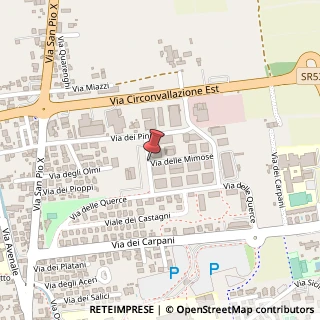 Mappa Via degli olivi, 31033 Castelfranco Veneto, Treviso (Veneto)